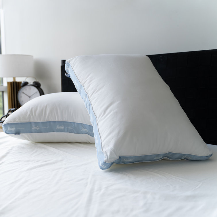 Sealy Firm Support Bed Pillow & Reviews Birch Lane